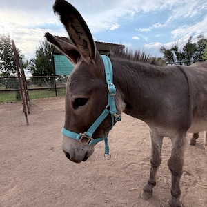 Catherine added a photo of their purchase