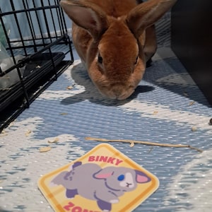 Castiel added a photo of their purchase