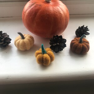 Alice added a photo of their purchase