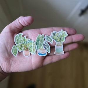 Alexandria added a photo of their purchase