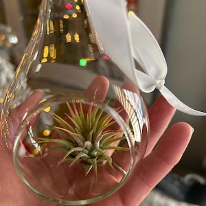 Sarah added a photo of their purchase