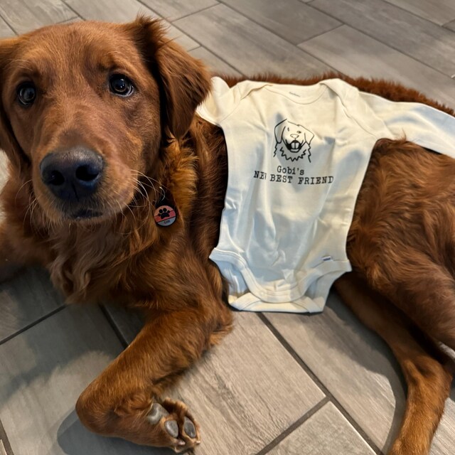 New Best Friend Onesie®, Protected by Dog Onesie®, Personalized