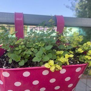 Rachel added a photo of their purchase