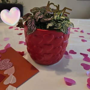 Pilar added a photo of their purchase