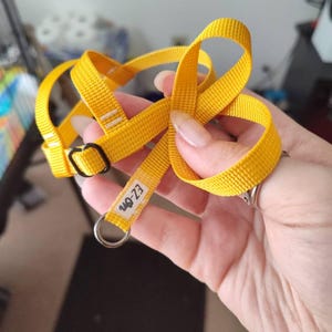 Lex added a photo of their purchase