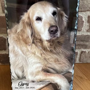 Gretchen added a photo of their purchase