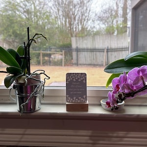 Raquel hat ein Foto des gekauften Artikels hinzugefügt