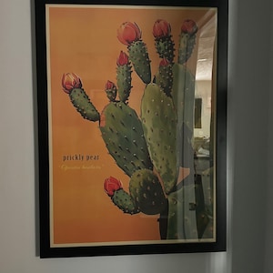 Emily ha añadido una foto de su compra