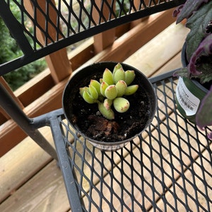 Nawasa added a photo of their purchase