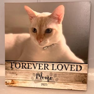 Erica added a photo of their purchase