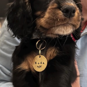 Rosie added a photo of their purchase