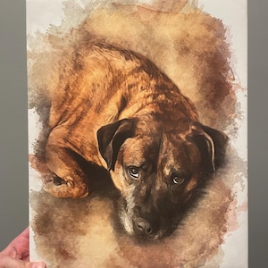 Amanda added a photo of their purchase