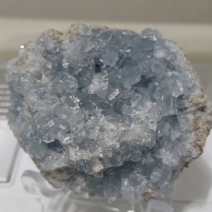 Renee added a photo of their purchase