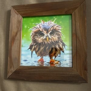 Kathryn added a photo of their purchase