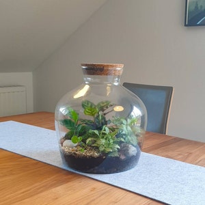 Terrarium DIY Kit - Bolder Bob - Bottle Garden - ↑ 30 cm