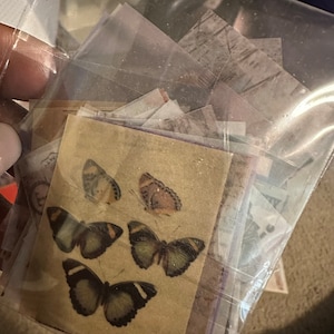 Chellsea added a photo of their purchase