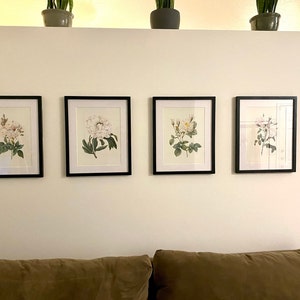 Erica added a photo of their purchase