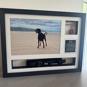 Megan adicionaram uma foto da sua compra