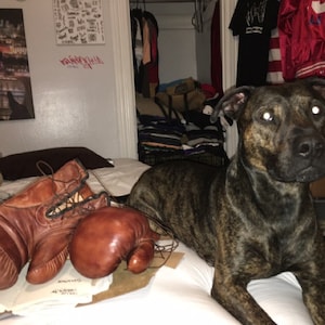 Cory added a photo of their purchase