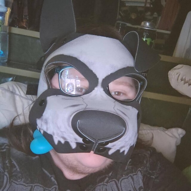 Pup Rex Dog Skull V1 Neoprene Pup Hood - Etsy