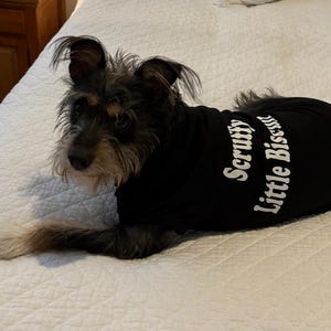 Reagan a ajouté une photo de son achat