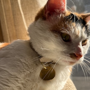 Esther a ajouté une photo de son achat
