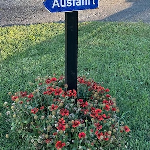 David added a photo of their purchase