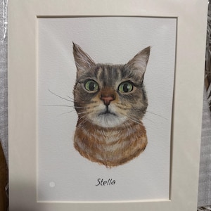 Audrey added a photo of their purchase