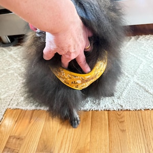 Ann added a photo of their purchase