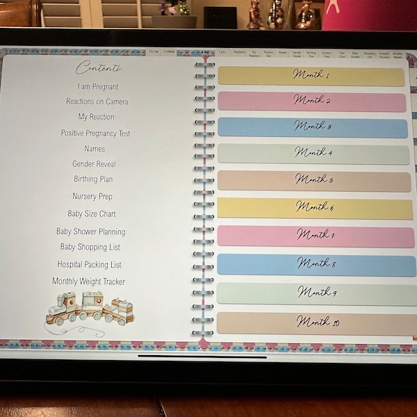 Qwirk Store Pregnancy Journal and Add-Ons
