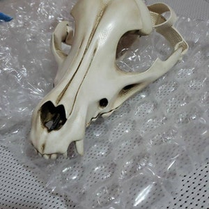 Yadex added a photo of their purchase