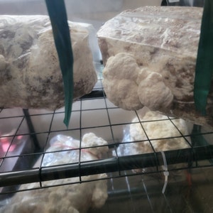Brooke added a photo of their purchase