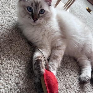 Maria ha añadido una foto de su compra