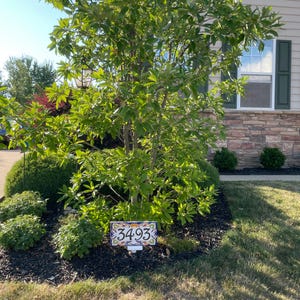 Jenny added a photo of their purchase