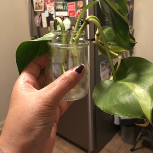 Mar Are added a photo of their purchase