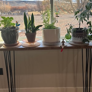 Terri added a photo of their purchase