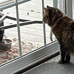 Suzanne さんが購入した商品の写真を追加しました