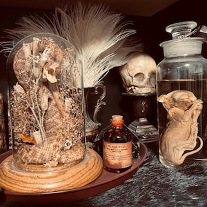 Amanda added a photo of their purchase