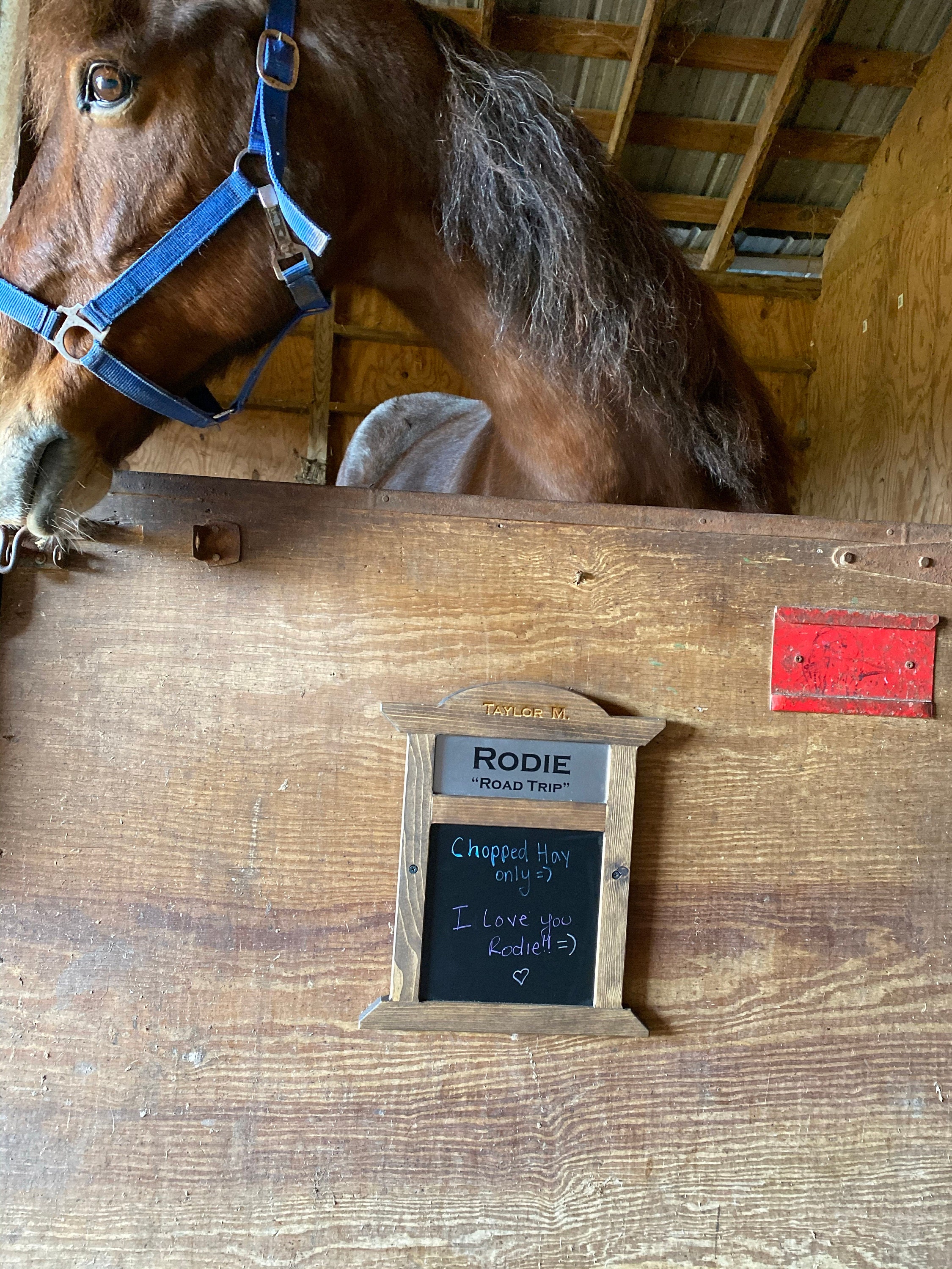 Horse Stall Sign, Equine Name Plaque, Horse Barn Sign, Stable Decor, Horse Name Plate, Chalkboard or Dry Erase Board, Feeding Instructions