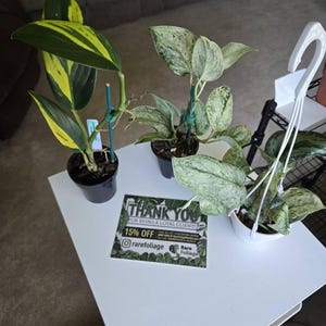 Heather added a photo of their purchase