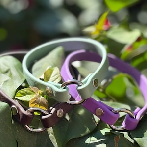Soledad added a photo of their purchase