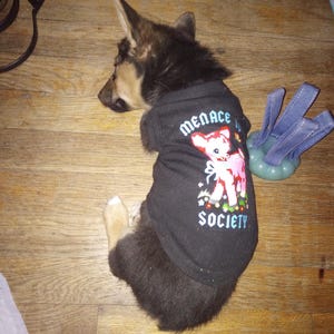Sara added a photo of their purchase