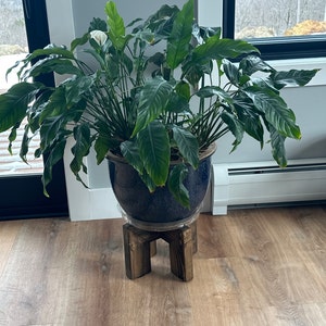 Jane heeft een foto van de aankoop toegevoegd