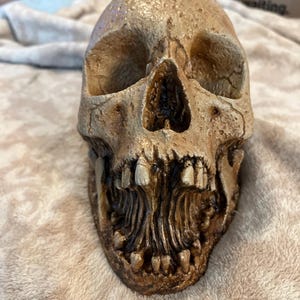 Holly added a photo of their purchase