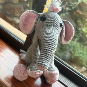 Susan added a photo of their purchase