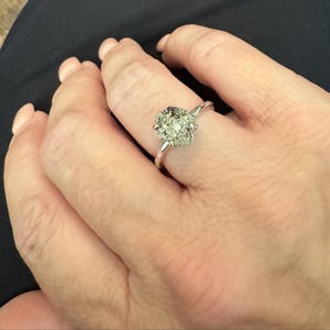 Lori added a photo of their purchase