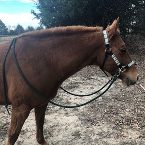 Courtney added a photo of their purchase