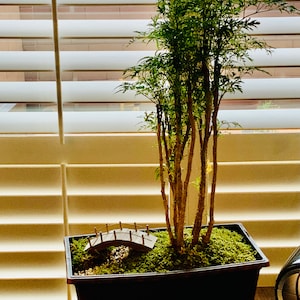 M. added a photo of their purchase