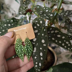 Amilea added a photo of their purchase