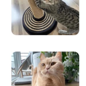 Simona added a photo of their purchase